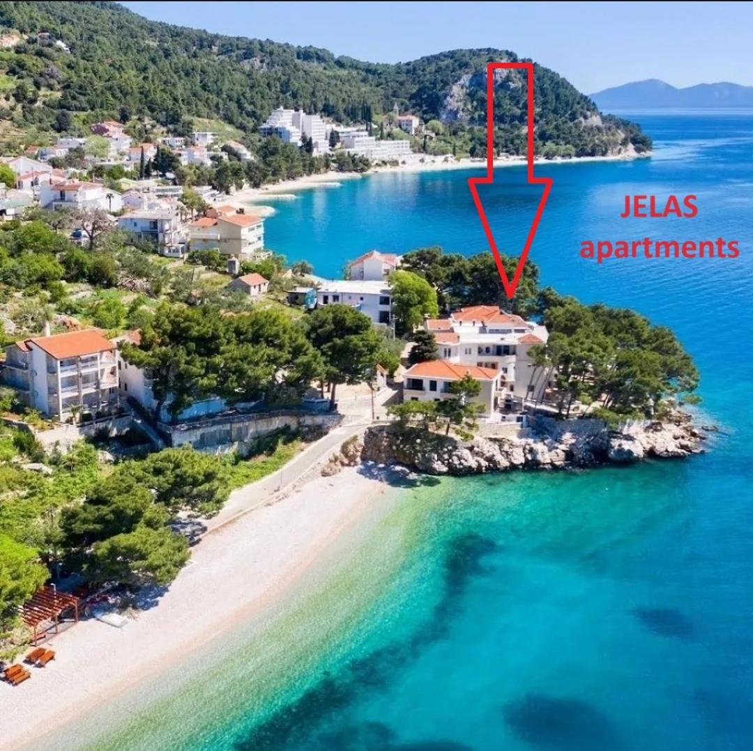 Apartment Jelas Живогошче Экстерьер фото